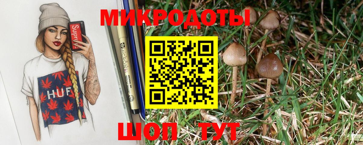 Галлюциногенные грибы Psilocybine cubensis  Вход с VPN  Феодосия 