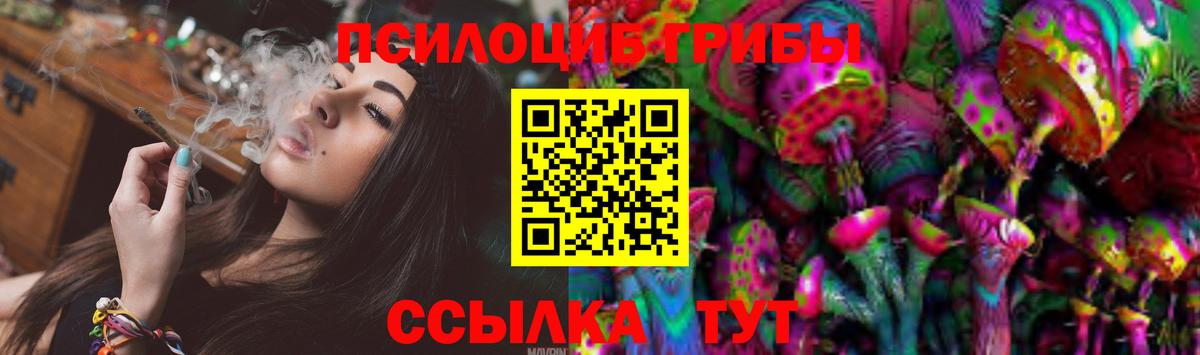 Псилоцибиновые грибы Psilocybe Феодосия